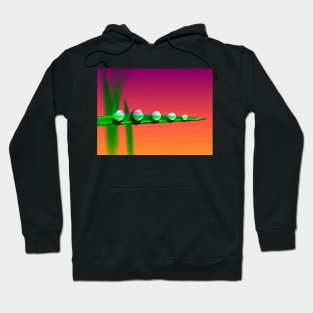 Water Drops on Grass Hoodie